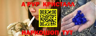 крисы Кингисепп