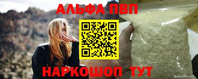крисы Кингисепп